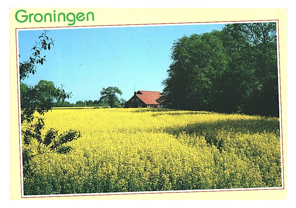 39070 Groningen 80+ boerderij Gelopen met postzegel, Ophalen of Verzenden, Voor 1920, Gelopen, Groningen