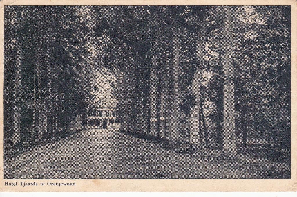 05803 Oranjewoud - Hotel Tjaarda - gel. 1944, Verzamelen, Verzenden, 1940 tot 1960, Gelopen, Friesland