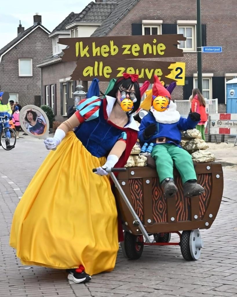 Prijswinnende act 'Sneeuwwitje heeft ze nie alle 7' optocht, Ophalen, Gebruikt, Pak of Jurk