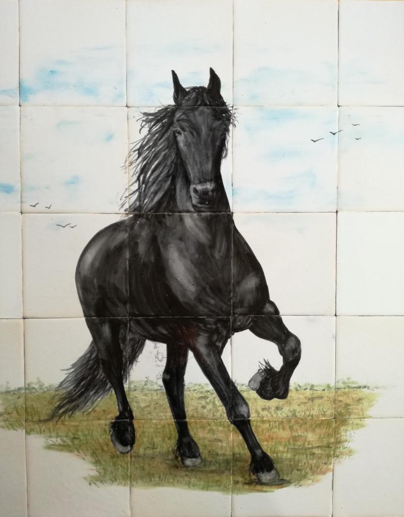 tegeltableau zwart - wit, keukentegels, Friese witjes, nieuw, Nieuw, Minder dan 20 cm, Minder dan 5 m², Wandtegels