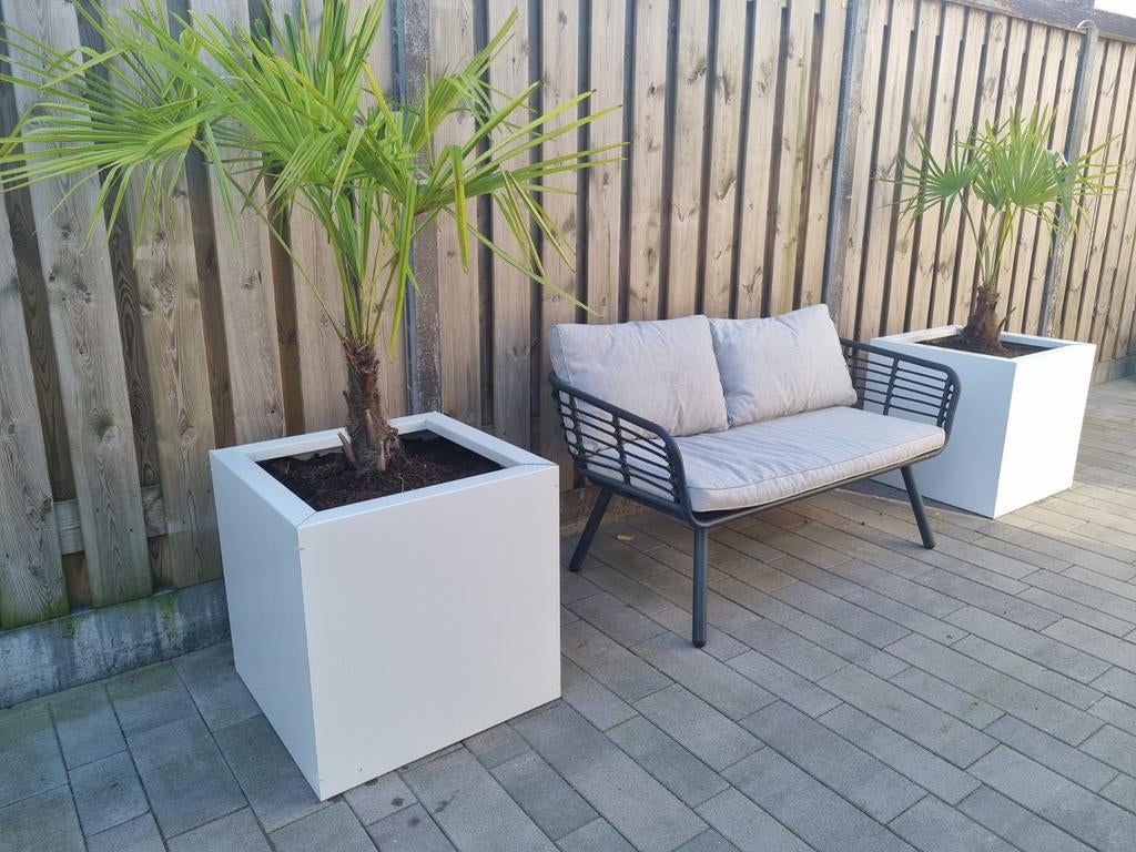 Moderne stalen plantenbakken maatwerk & voorraad vanaf €100, Ophalen, Nieuw, Metaal, Rechthoekig