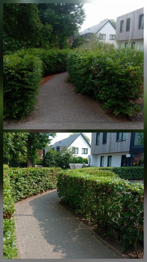 Tuinman/hovenier/tuinhulp gezocht/aangeboden, Diensten en Vakmensen, Tuinmannen en Stratenmakers, Tuin- of Vijveraanleg, Tuinonderhoud of Snoeiwerk