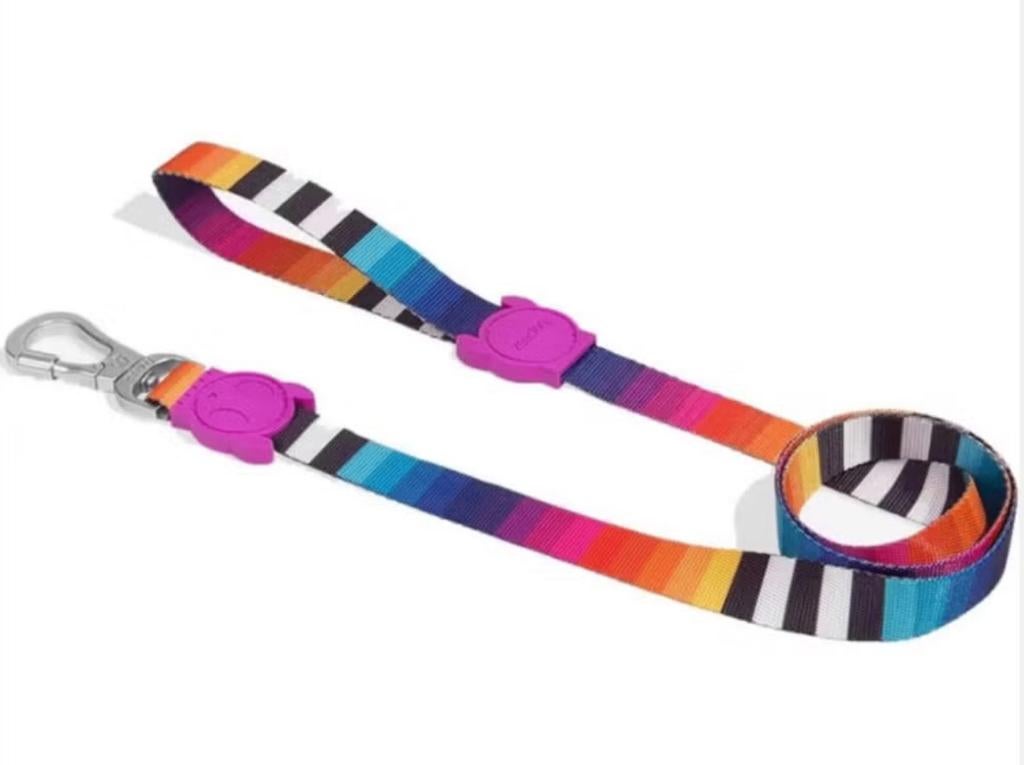 Kleurige hondenriem van 'Zeedog' Large € 15,00, Ophalen of Verzenden, Nieuw, Hondenriem