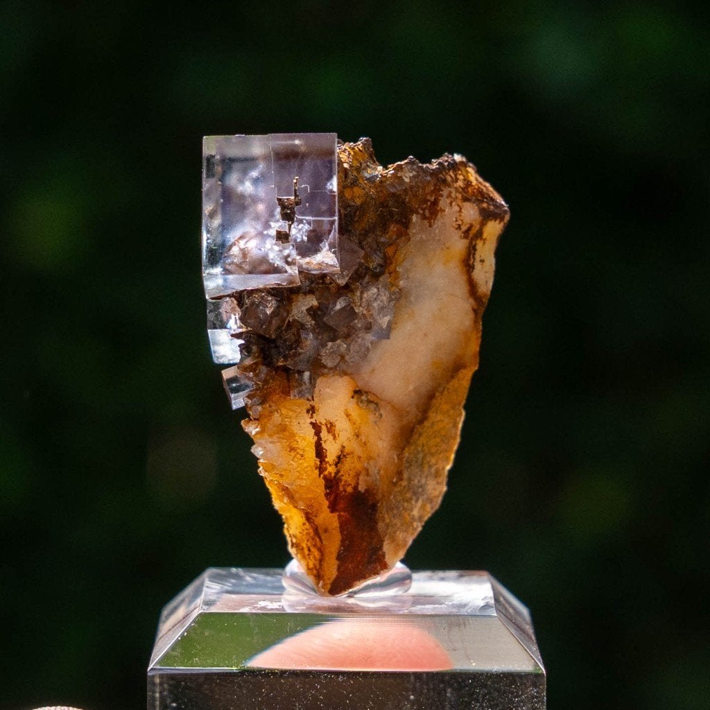 Fluoriet uit La Barre, Frankrijk #6, Ophalen of Verzenden, Mineraal