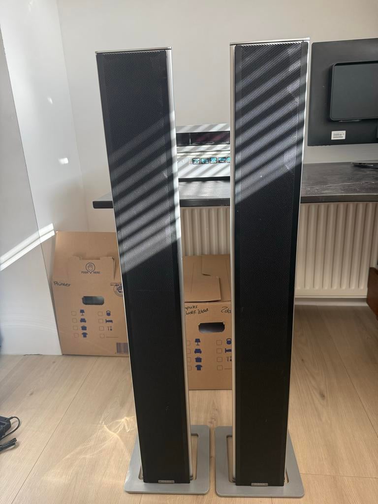 2 Piega TS 5 Zuilspeakers - Hoogwaardig Geluid, Gebruikt, 60 tot 120 watt, Front, Rear of Stereo speakers, Ophalen