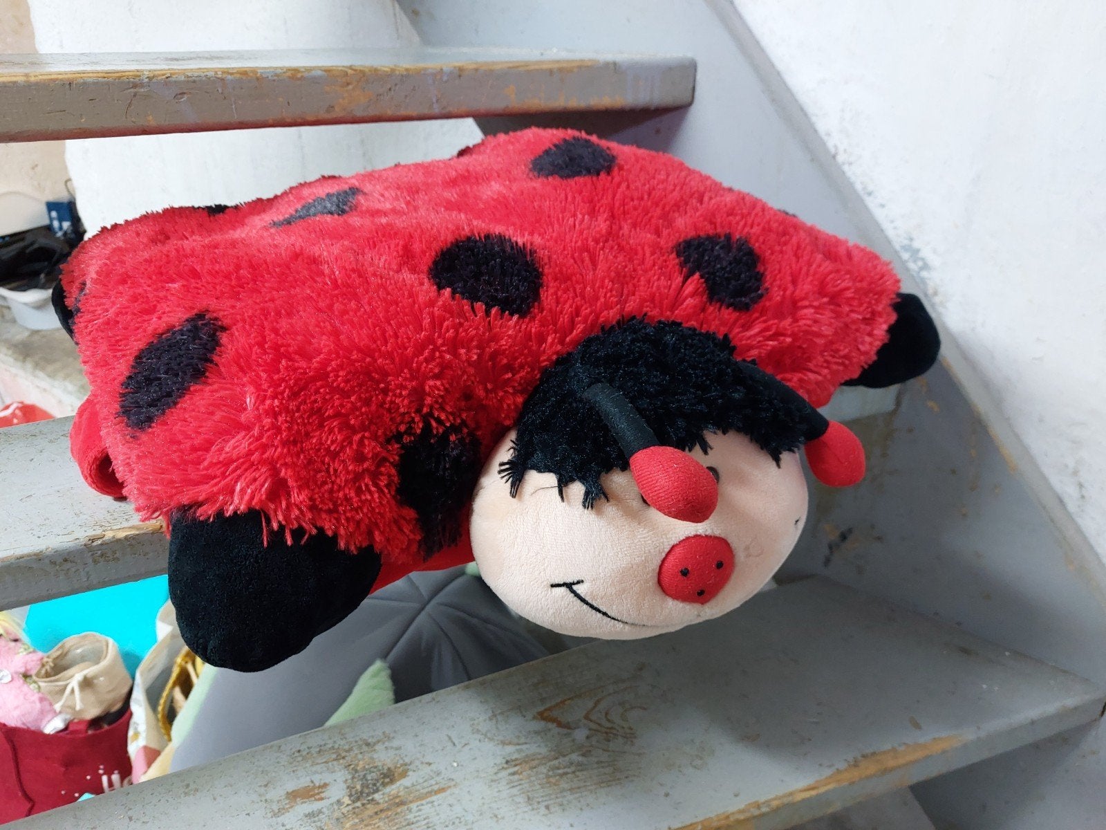 Lieveheersbeestje knuffelkussen gratis af te halen, Ophalen, Gebruikt, Rood, Overige typen