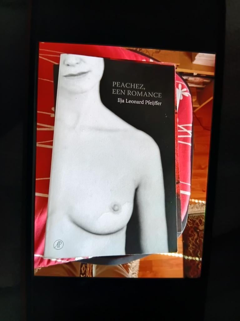Peachez, een romance - Ilja Leonard Pfeijffer, Boeken, Romans, Ophalen of Verzenden, Gelezen, Ilja Leonard Pfeijffer, Nederland