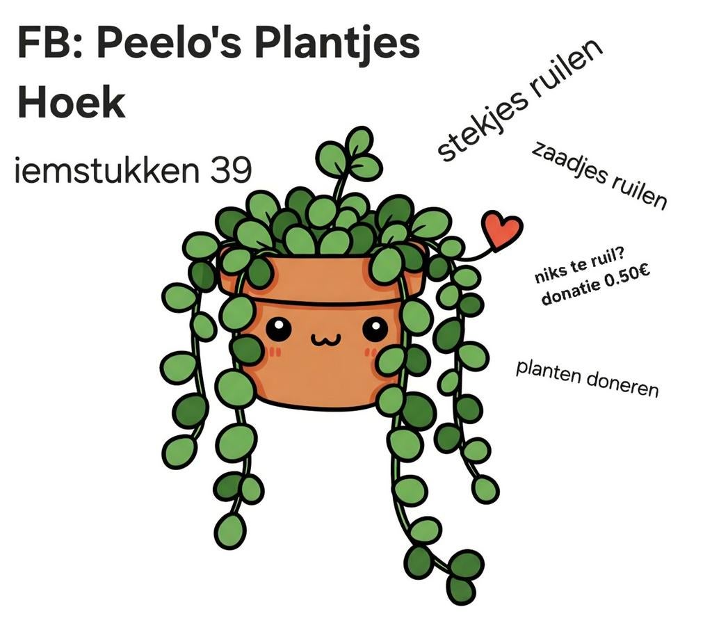 Kom je biologische vaste tuinplanten stekjes ruilen?, Tuin en Terras, Ophalen, Overige soorten, Volle zon