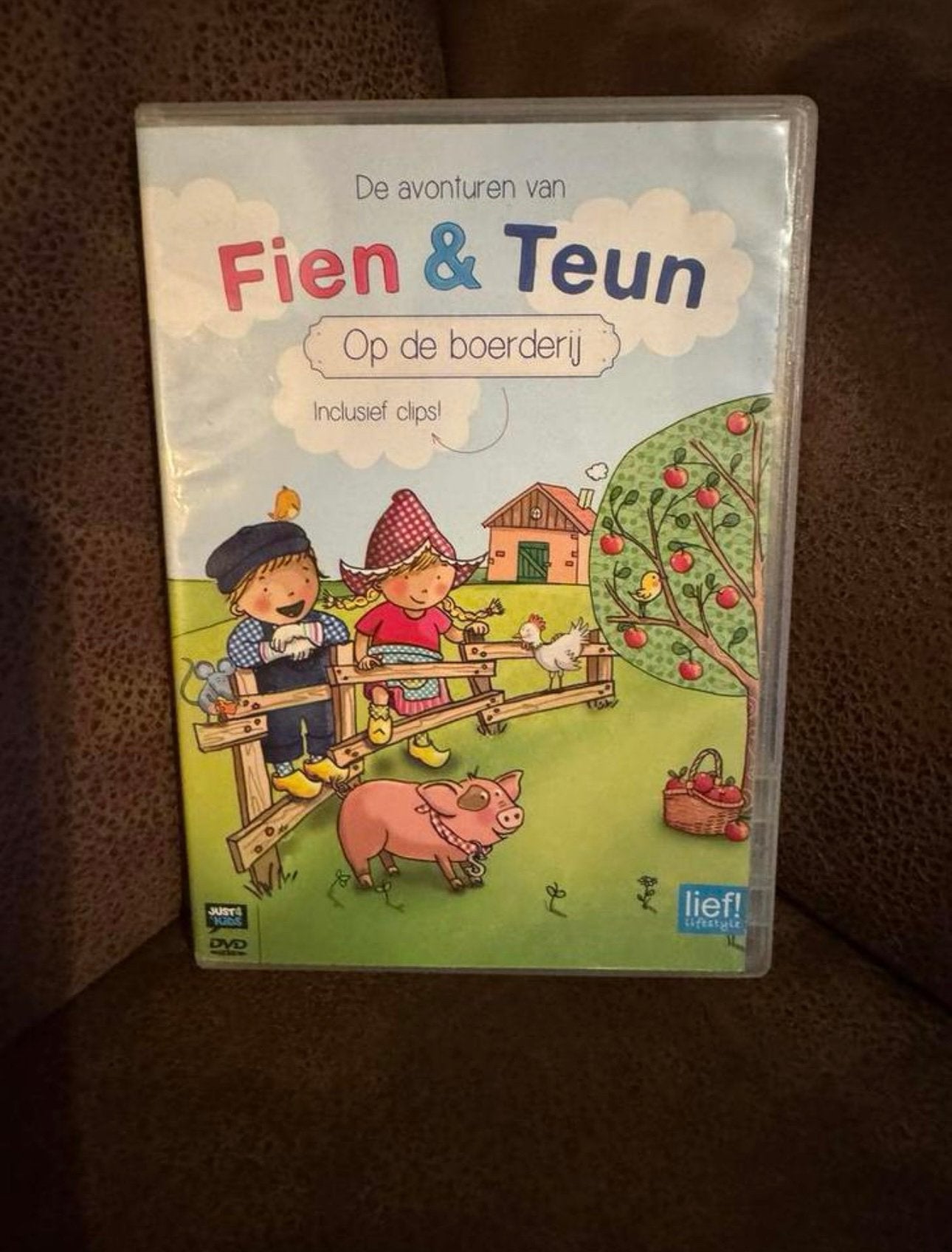 Fien en Teun Dvd, Alle leeftijden, Ophalen of Verzenden, Zo goed als nieuw