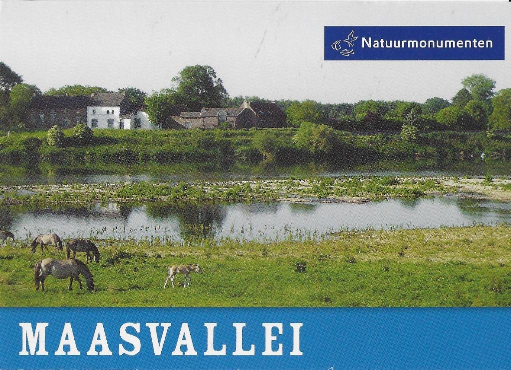 V54 Ongelopen Ansichtkaart Maasvallei, Ophalen of Verzenden, 1980 tot heden, Gelopen