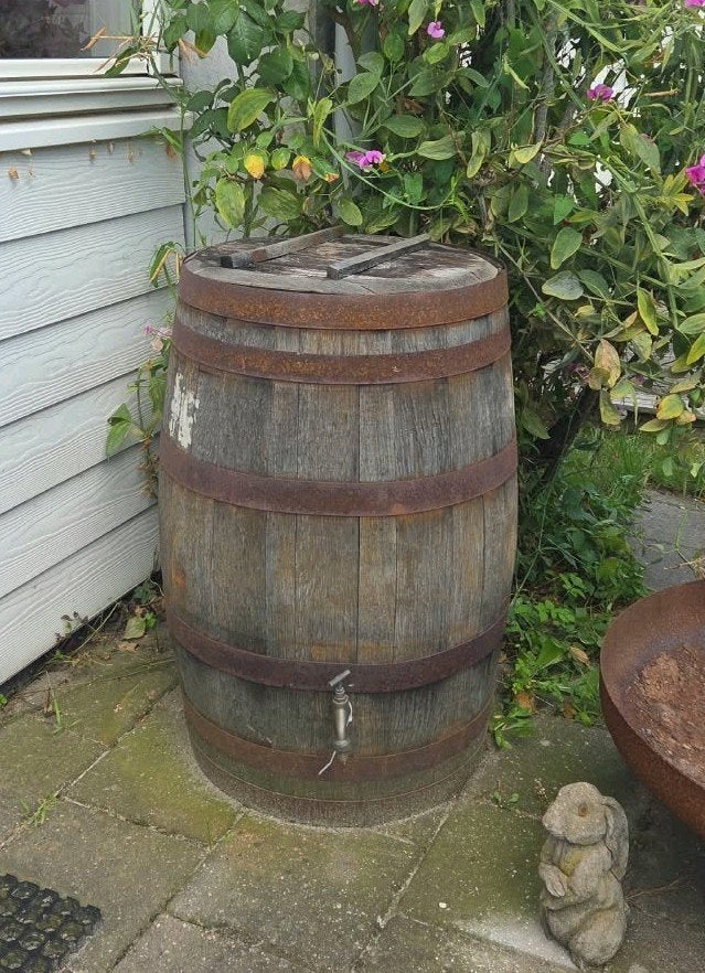 Regenton van houten wijnvat met kraantje, Ophalen, Gebruikt, Met kraantje, 150 liter of meer