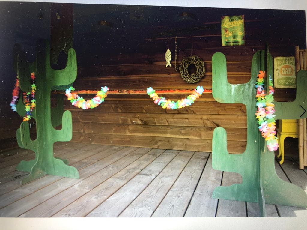 Limbo cactussen te huur € 12,50 limbo spel hawaii, Tickets en Kaartjes, Recreatie | Pretparken en Attractieparken, Eén persoon