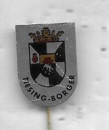 TEESING BORGER SPELD, Ophalen of Verzenden, Gebruikt, Merk, Speldje of Pin