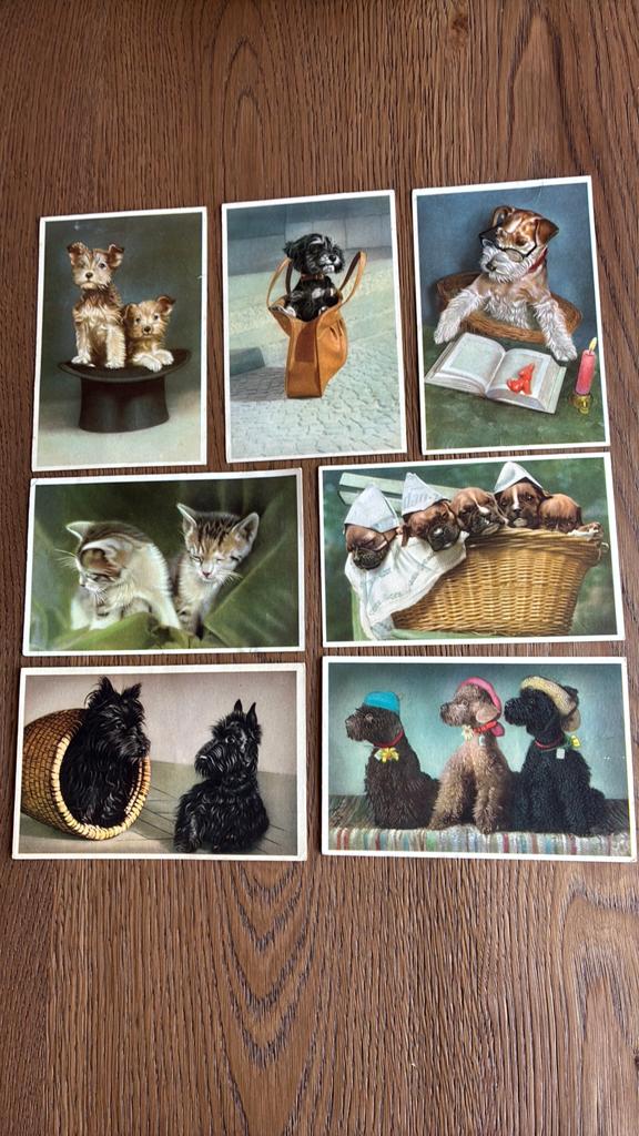 7 Fantasie Dieren. 6 x hond en 1x katten, Ophalen of Verzenden, Overige thema's