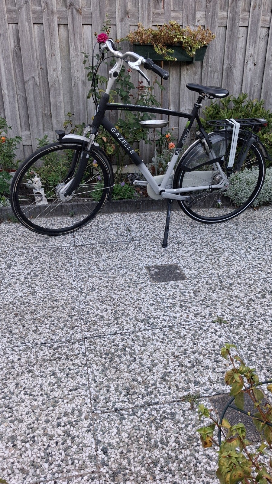 Gazelle Chamonix plus 7 versnellingen., Fietsen en Brommers, Fietsen | Heren | Herenfietsen, Ophalen, Gebruikt, Gazelle, Versnellingen