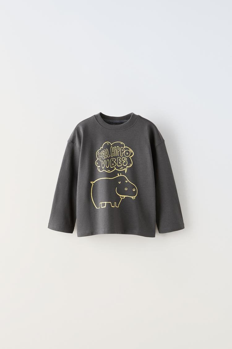 Kind Zara baby t-shirt longsleeve met print grijs nieuw 104, Nieuw, Ophalen of Verzenden, Zara, Shirt of Longsleeve
