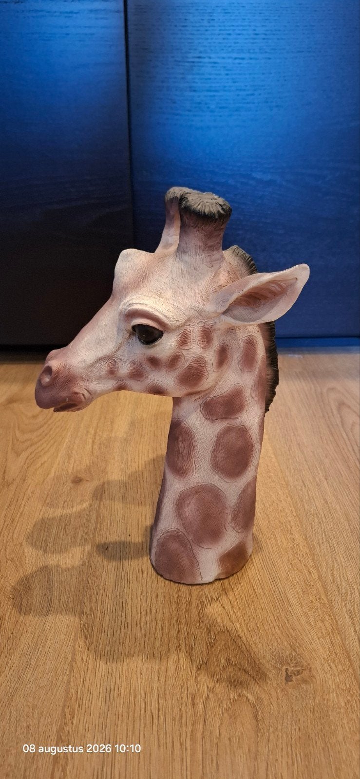Beeld kop giraffe, Ophalen, Gebruikt, Overige merken, Overige typen