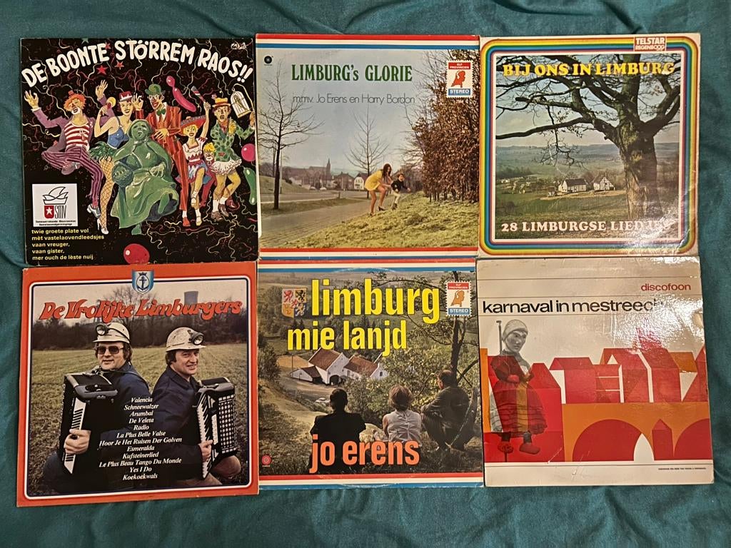 7 LP's Limburg (ook per stuk te koop), Gebruikt, 1980 - 1989, Ophalen of Verzenden, Levenslied of Smartlap