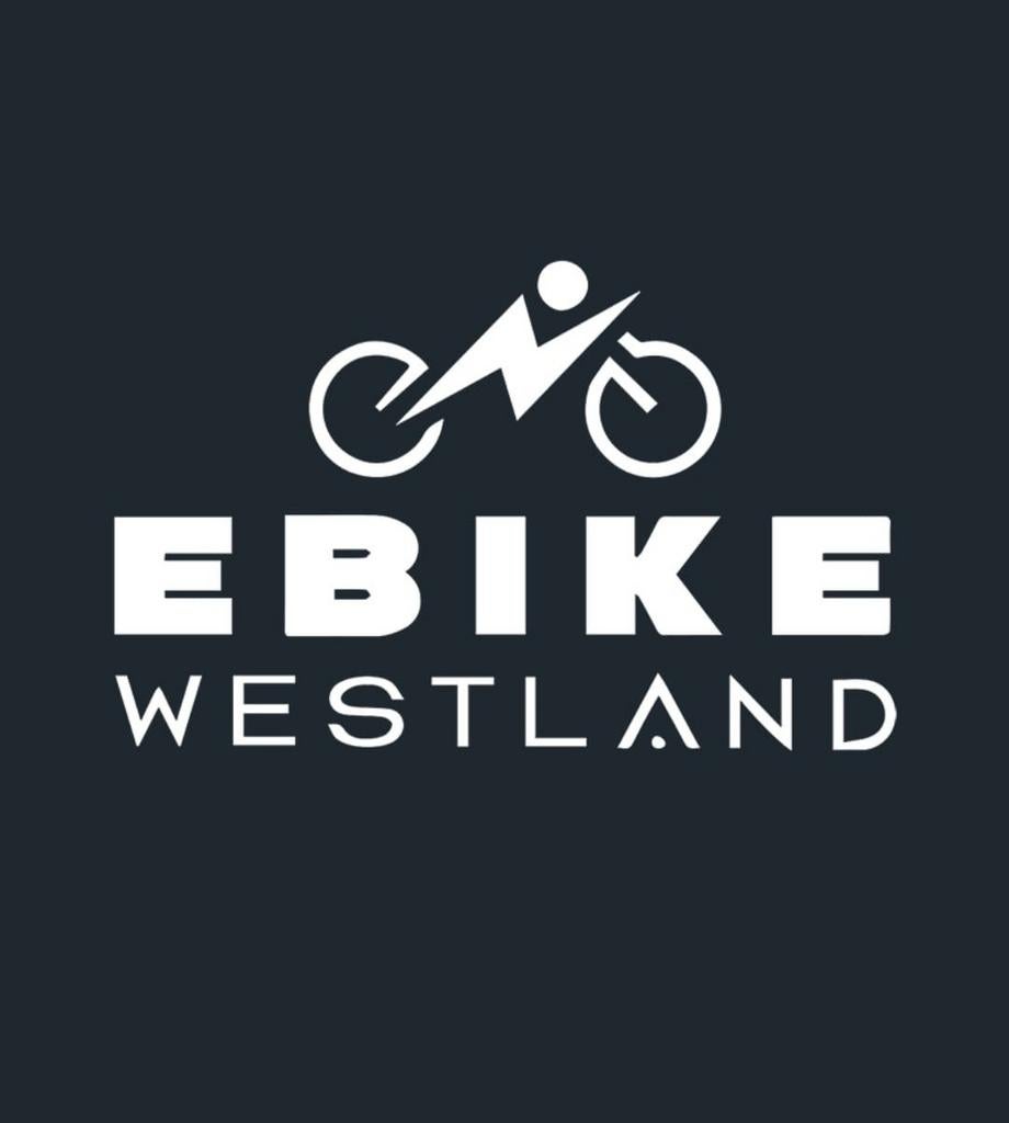 Stella Livorno Stone Grey FDST Elektrische Fiets *ZGAN*, Overige merken, Versnellingen, Zo goed als nieuw, Schijfrem