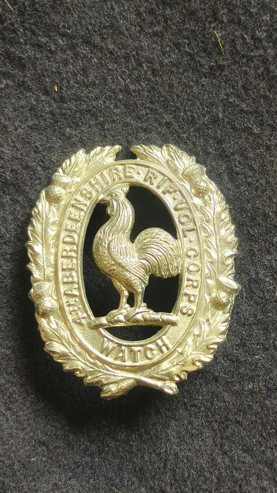 Originele capbadge 4th Aberdeenshire Rifle Volunteers., Ophalen of Verzenden, Landmacht, Engeland, Embleem of Badge