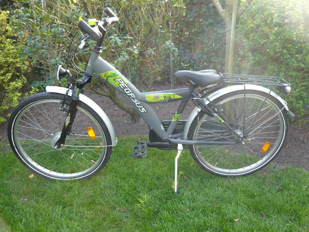 Mooie 24inch pegassus power41 3versn., Ophalen, Velgrem, Handrem, Gebruikt