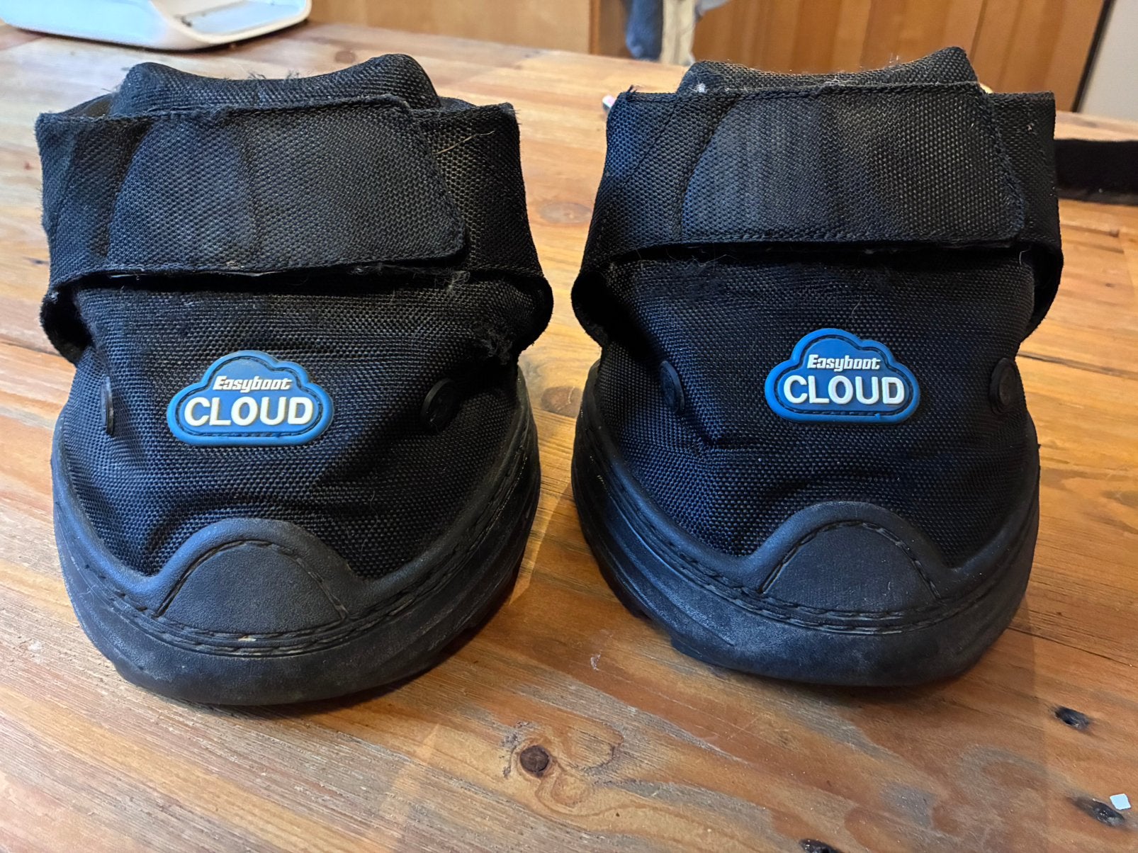 Easyboot cloud maat 3, Hoefschoenen, Ophalen of Verzenden, Gebruikt, Full