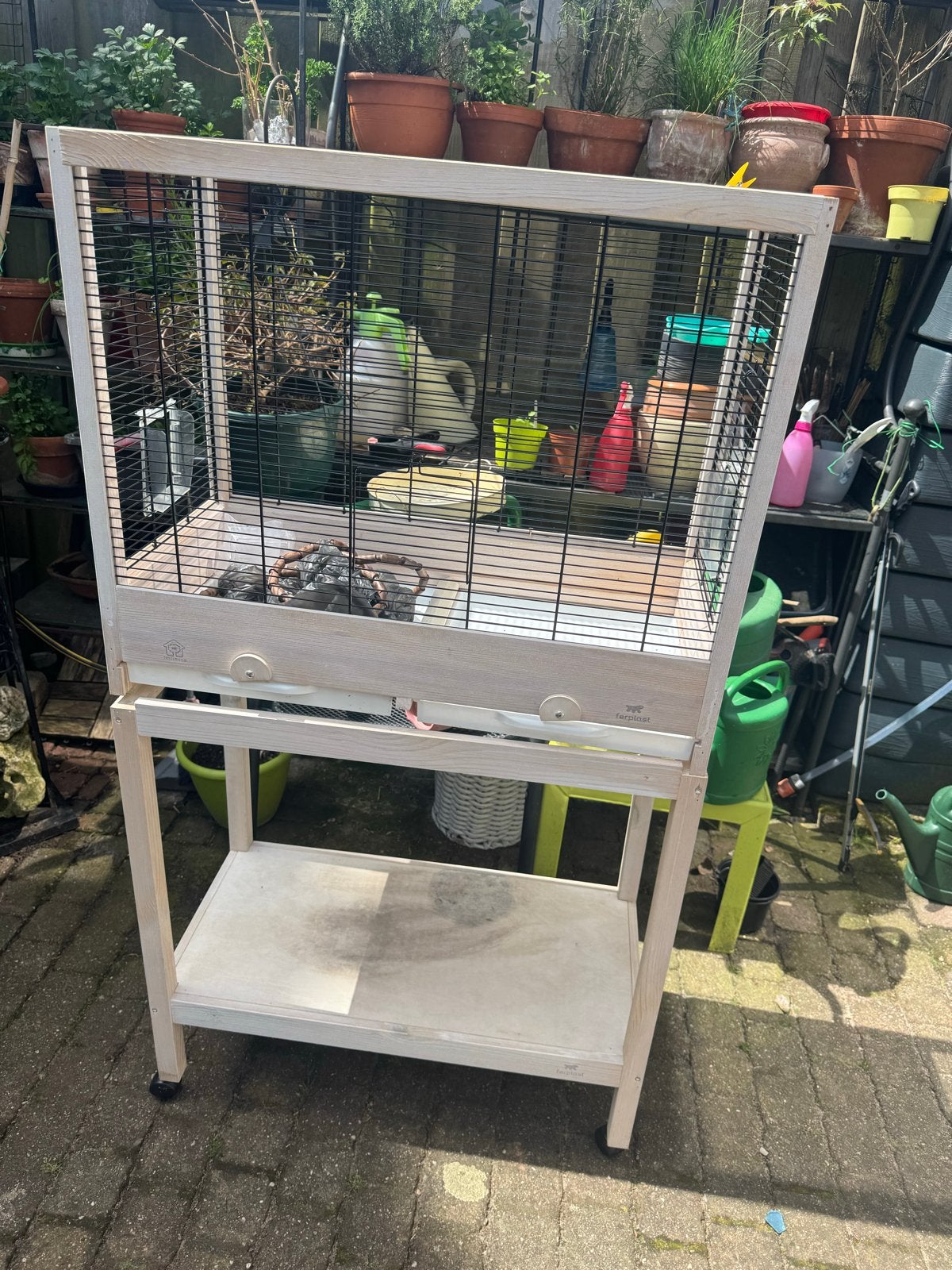 Ferplast vogelkooi zgan, Dieren en Toebehoren, Ophalen, Zo goed als nieuw, Metaal, Vogelkooi