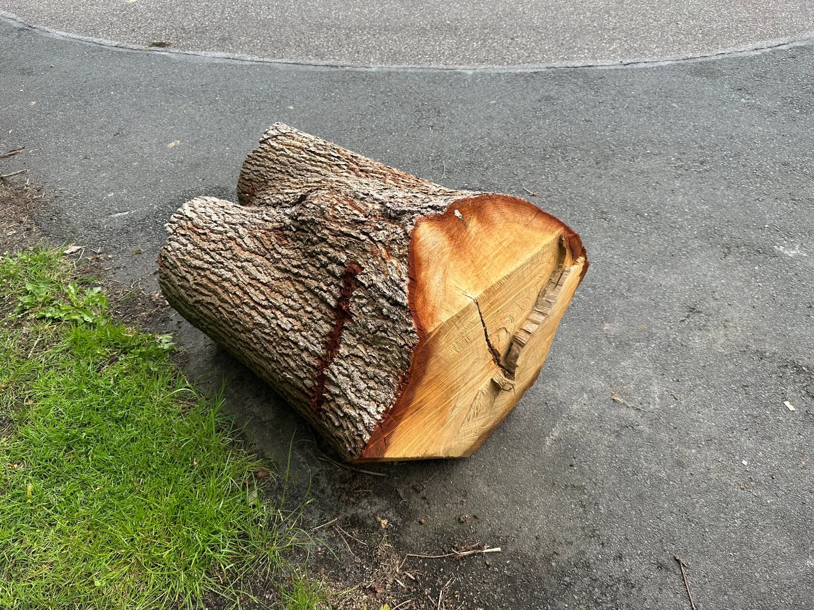 Stam hout, Tuin en Terras, Haardhout, Minder dan 3 m³, Ophalen of Verzenden