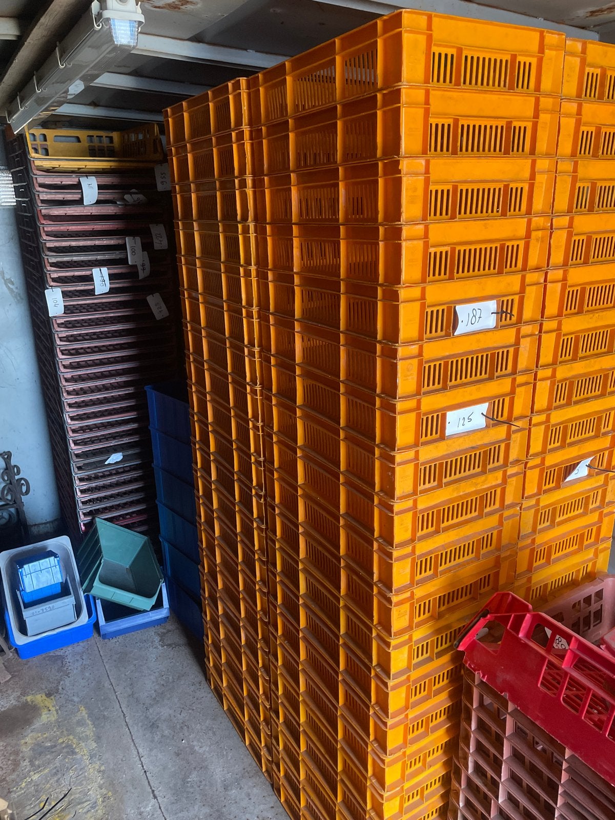 80 x Oranje kratten voor opslag of transport, Ophalen, Gebruikt, 40 tot 60 cm, 50 tot 75 cm