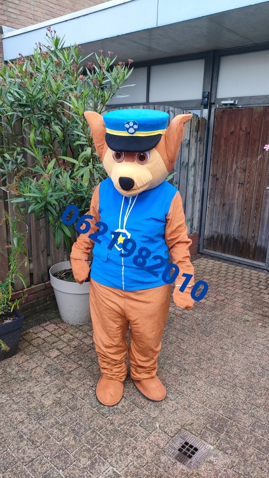 Mascotte pak van chase te huur, Kleding | Heren, Carnavalskleding en Feestkleding, Ophalen of Verzenden