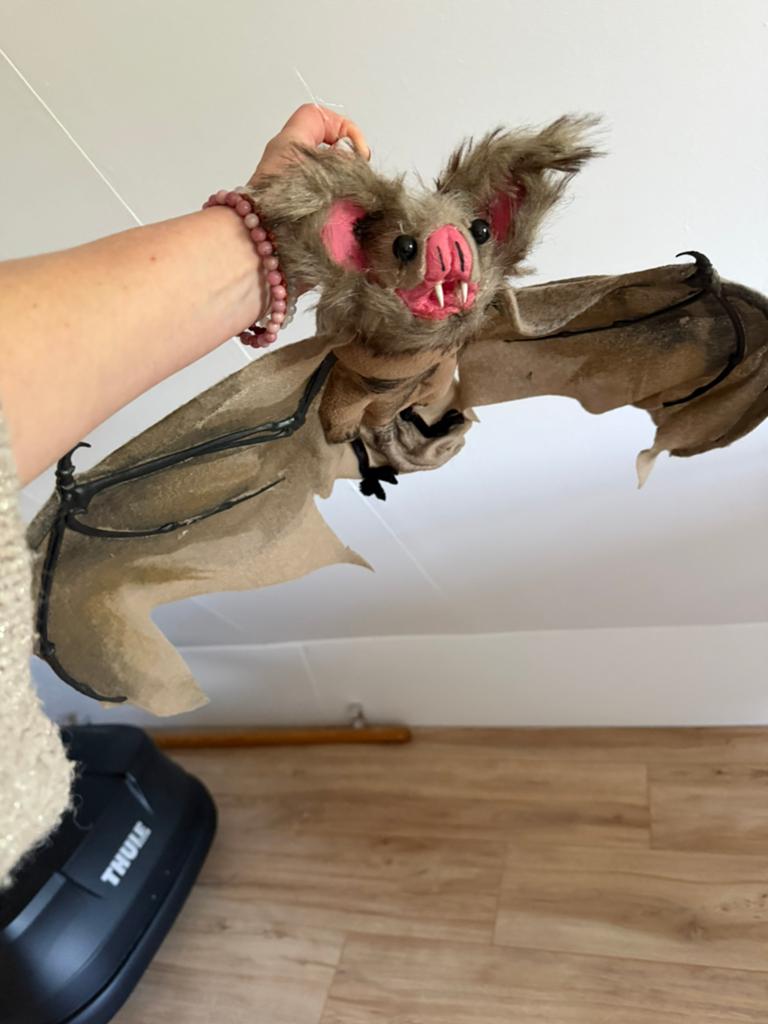 Halloween vleermuis zoekt nieuwe thuis, Ophalen, Zo goed als nieuw, Halloween of Griezel