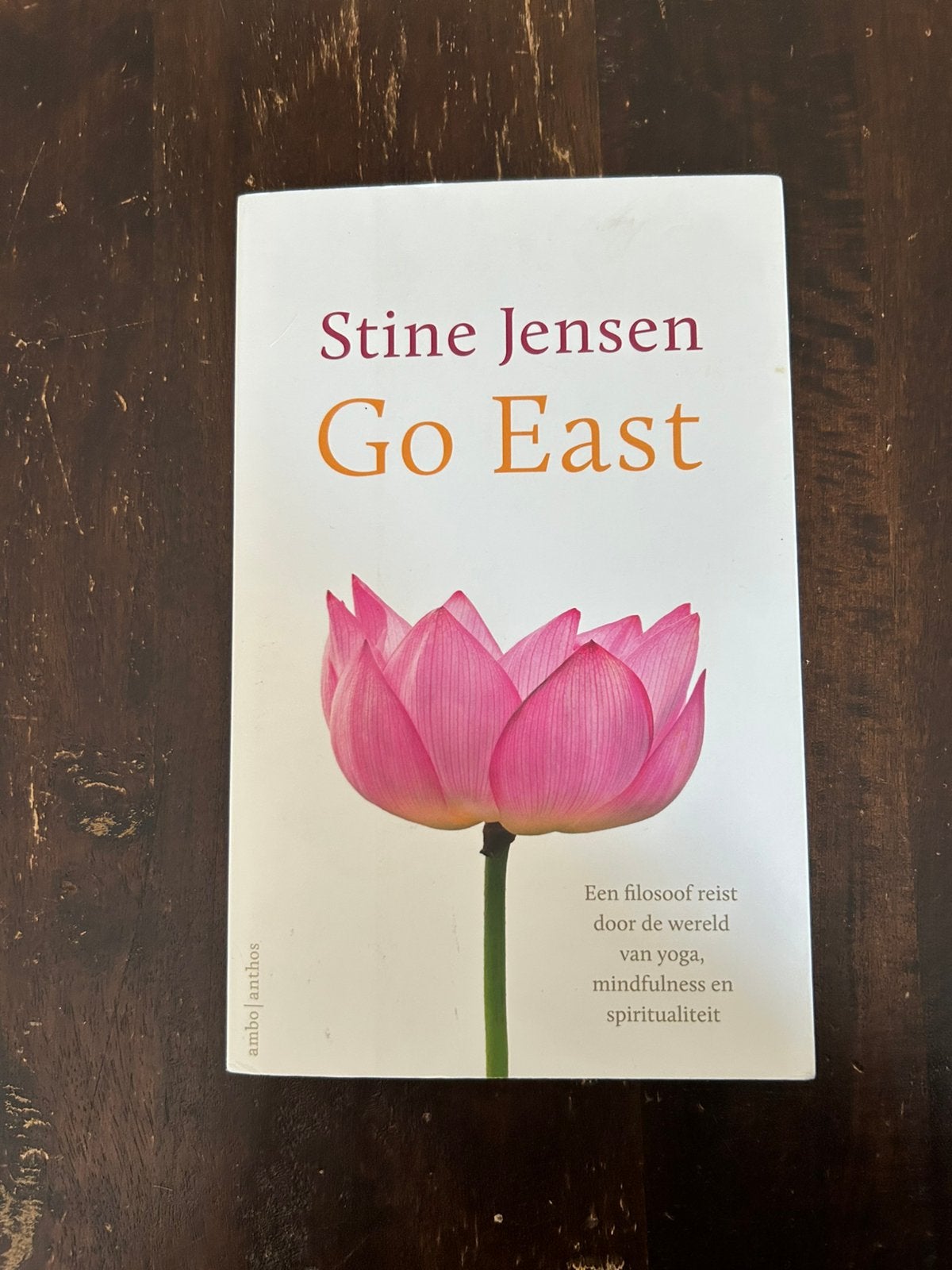 Stine Jensen - Go east, Boeken, Ophalen of Verzenden, Zo goed als nieuw, Stine Jensen