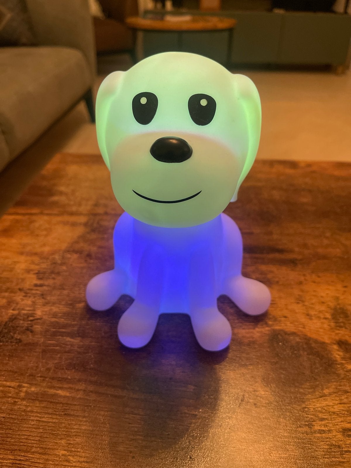 Schattig Nachtlampje Hond - Kleurveranderend LED, Meerkleurig, Ophalen of Verzenden, Zo goed als nieuw, Lamp