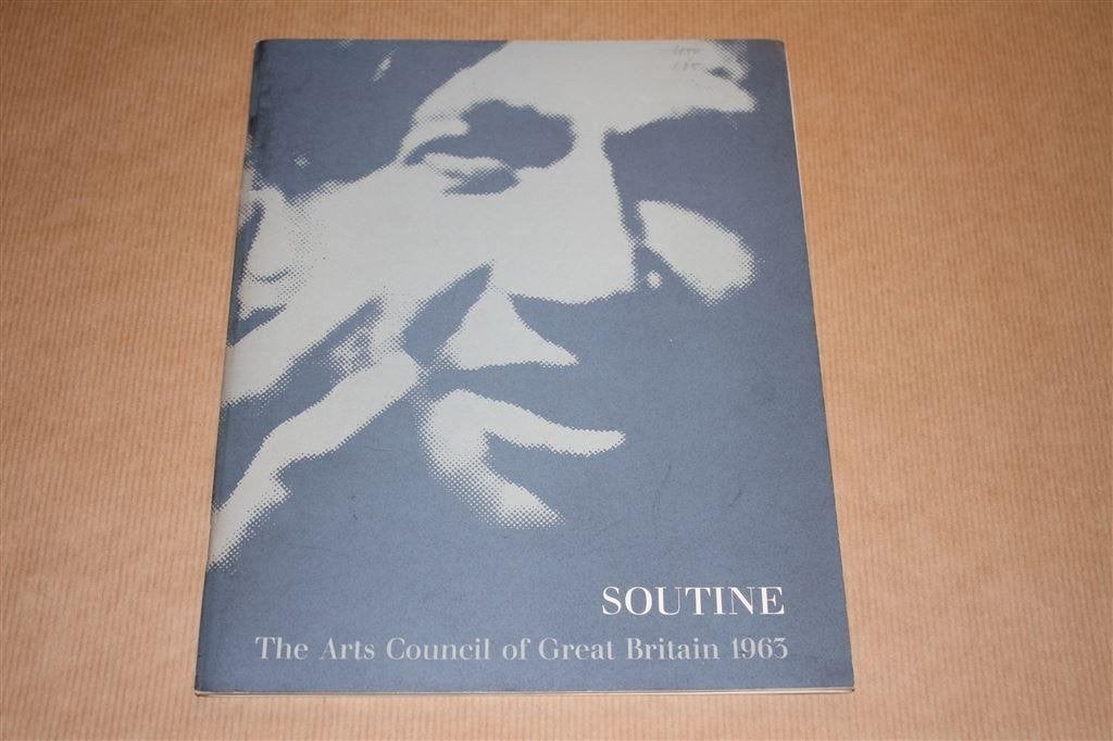 Boek over het werk van Chaim Soutine, Boeken, Ophalen of Verzenden, Gelezen