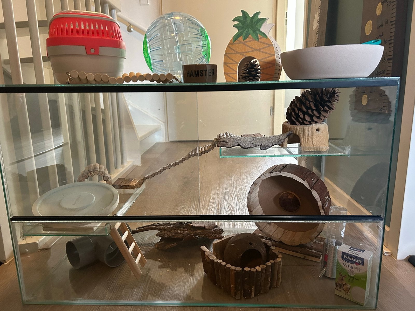 Hamster/muizen terrarium, Ophalen, Zo goed als nieuw, Hok, Hamster