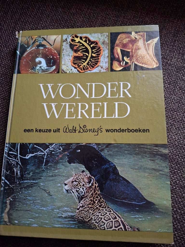 Wonder Wereld dierenboek Walt Disney s wonderboeken 1968, Ophalen of Verzenden, Gelezen
