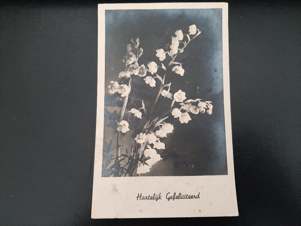 Lelietje van Dalen, gelopen, 1948, echte fotokaart., Verzenden, 1940 tot 1960, Gelopen, Feest(dag)