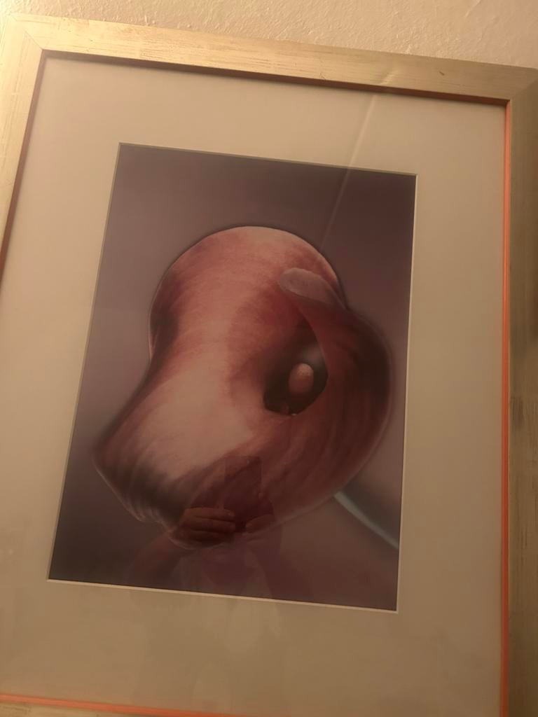 Ingelijste kunstprint van een abstracte bloem, Antiek en Kunst, Ophalen