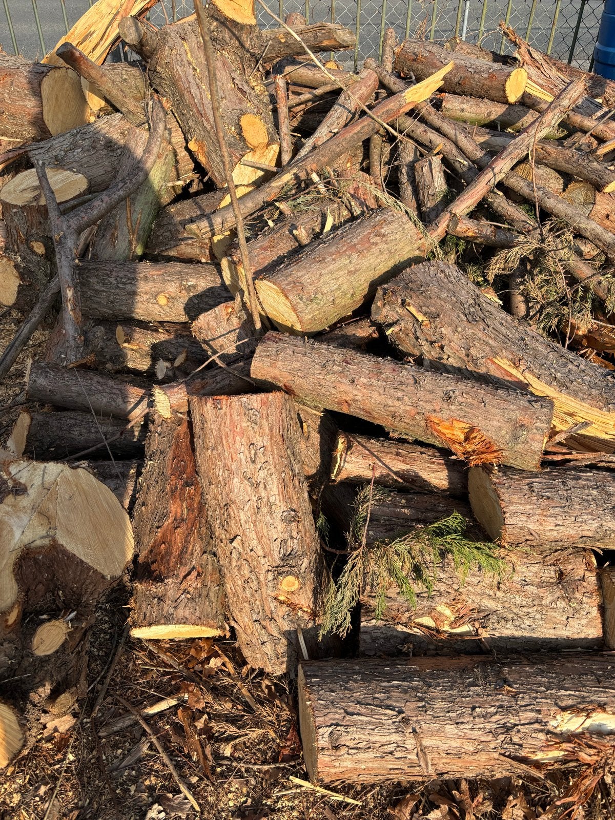 Coniferen hout - Ideaal voor brandhout of decoratie, Tuin en Terras, 6 m³ of meer, Ophalen, Overige houtsoorten, Blokken