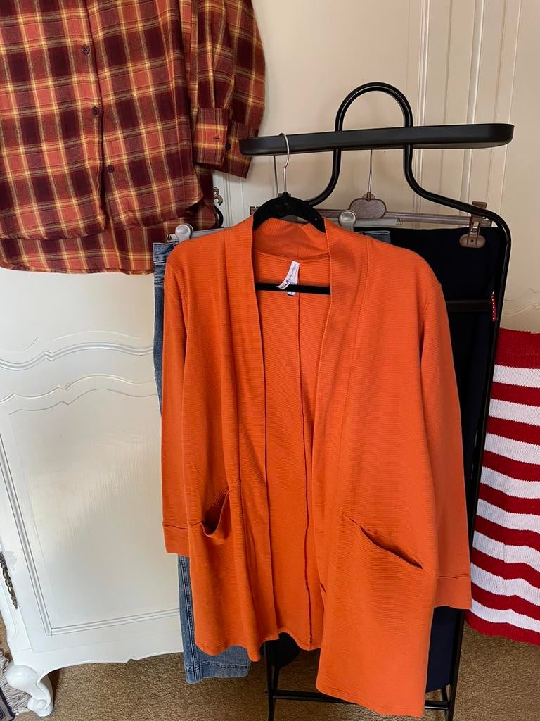 Oranje vest, maat L merk Miss Etam., Ophalen of Verzenden, Zo goed als nieuw, Maat 38/40 (M)