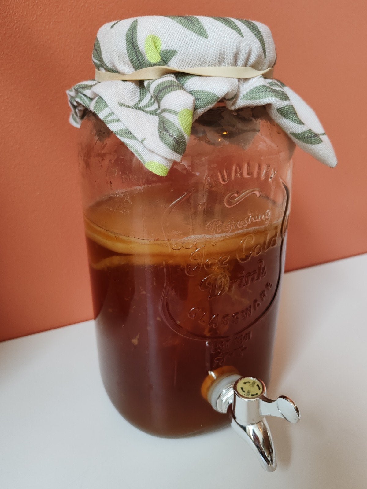 Kombucha SCOBY inclusief instructies, Ophalen