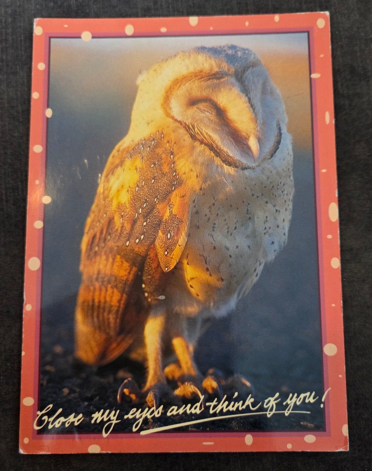 Ansichtkaart Uil - 'Close my eyes and think of you!', Verzenden, 1980 tot heden, Gelopen, Vogel