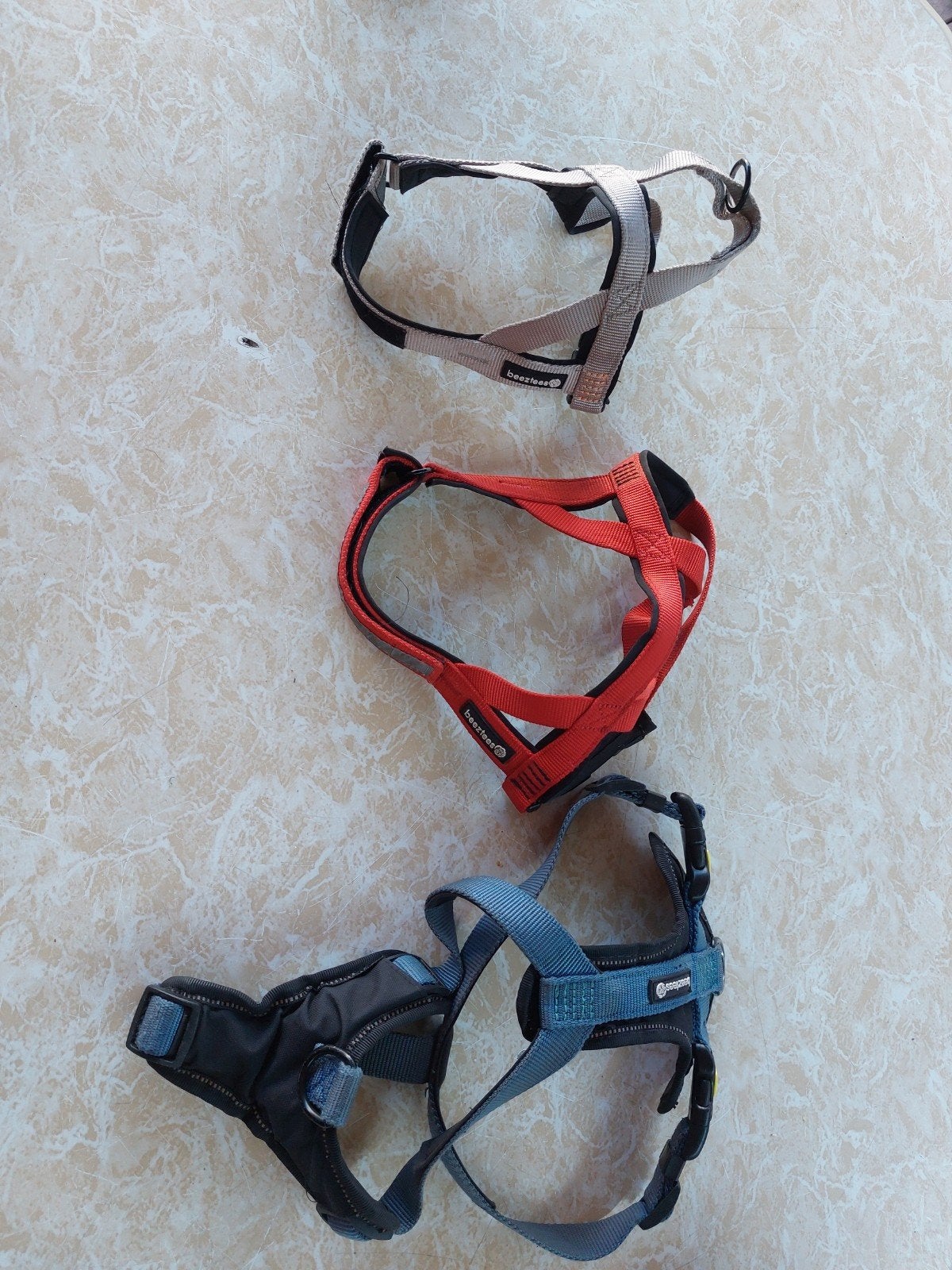 Tuigje voor hond, Dieren en Toebehoren, Honden-accessoires, Ophalen of Verzenden