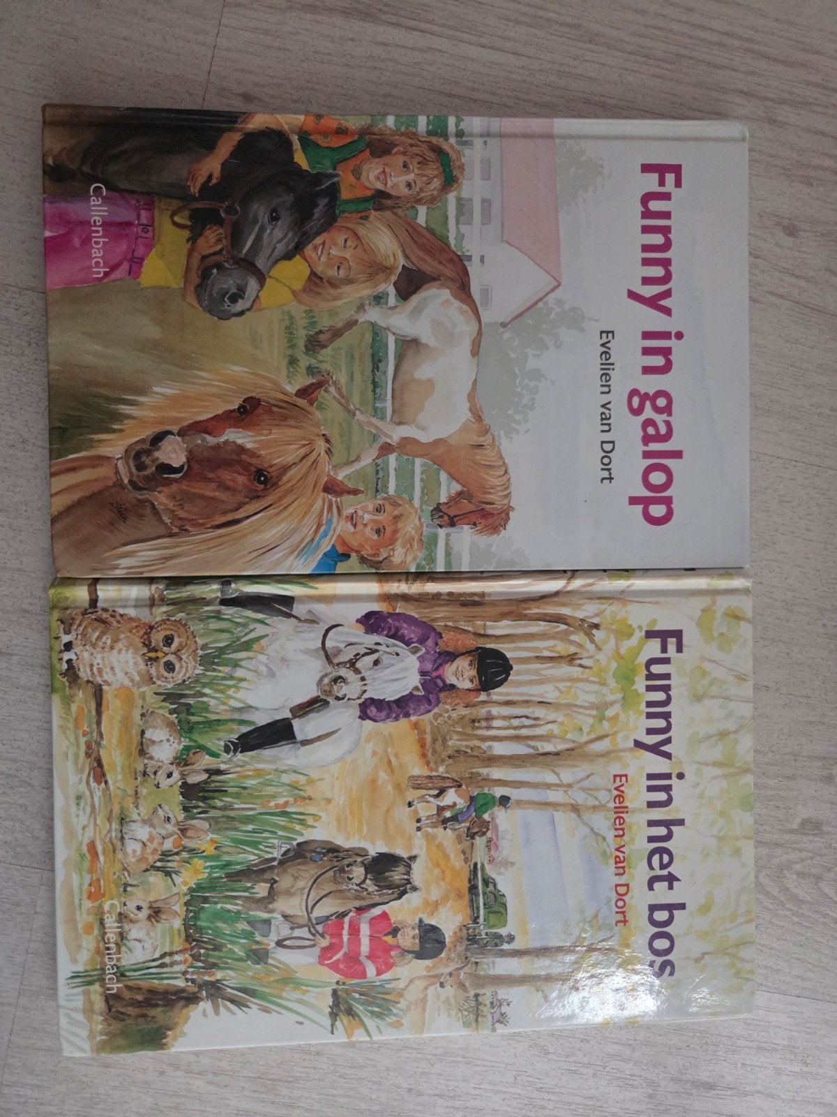 Funny in galop & Funny in het bos - Evelien van Dort, Verzenden, Zo goed als nieuw, Evelien van Dort, Fictie