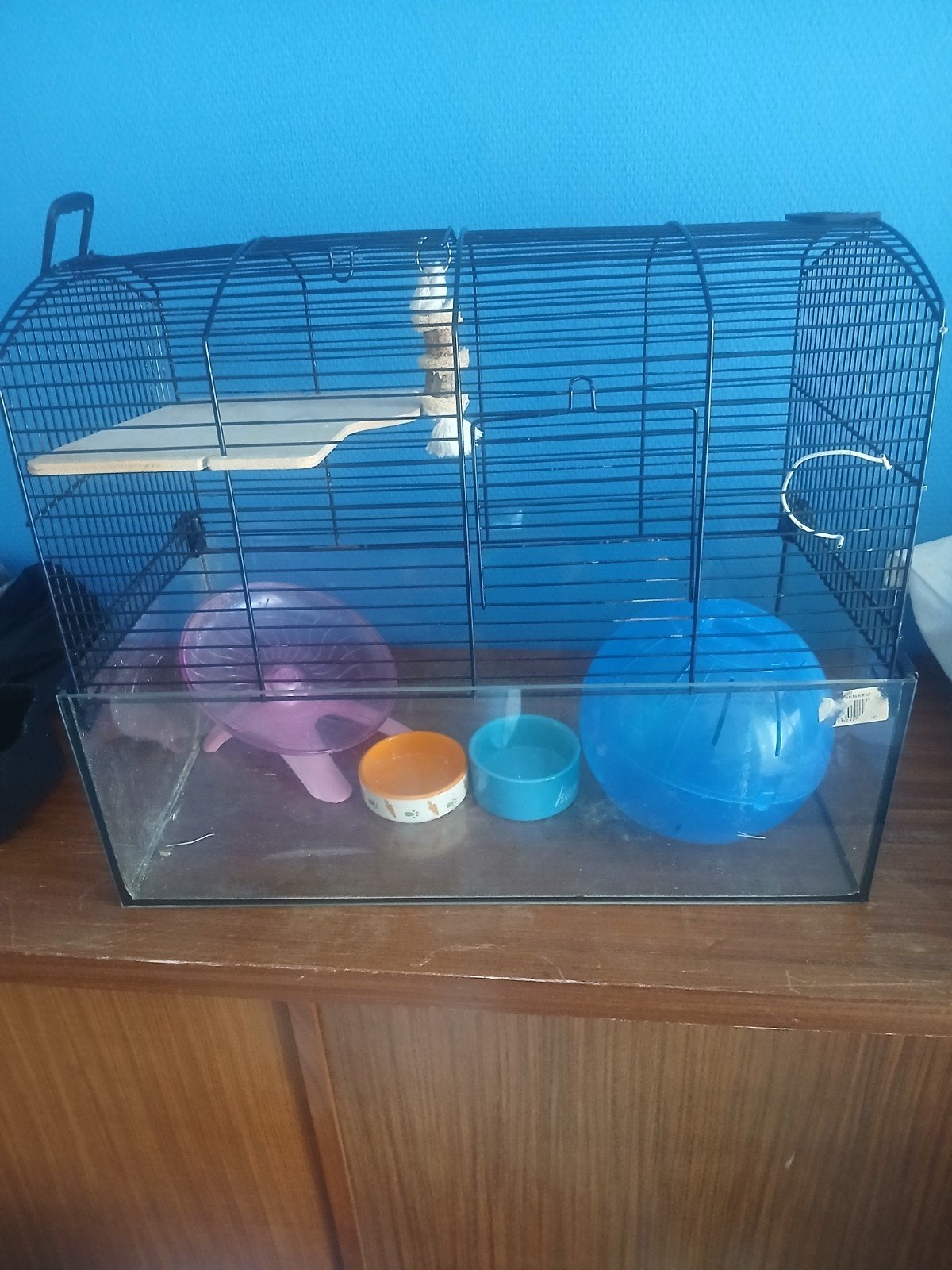hamster kooi, Dieren en Toebehoren, Kooi, Hamster, Ophalen, Minder dan 60 cm