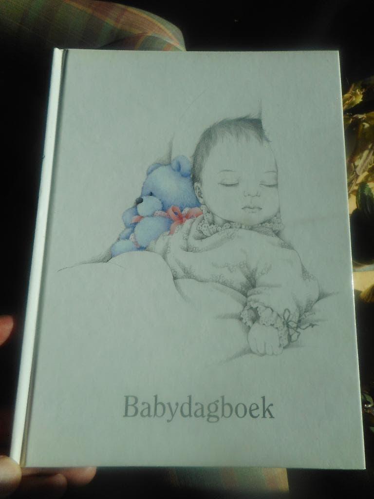 Babydagboek, Verzenden, Zo goed als nieuw, Zwangerschap en Bevalling, Onbekende heer of dame