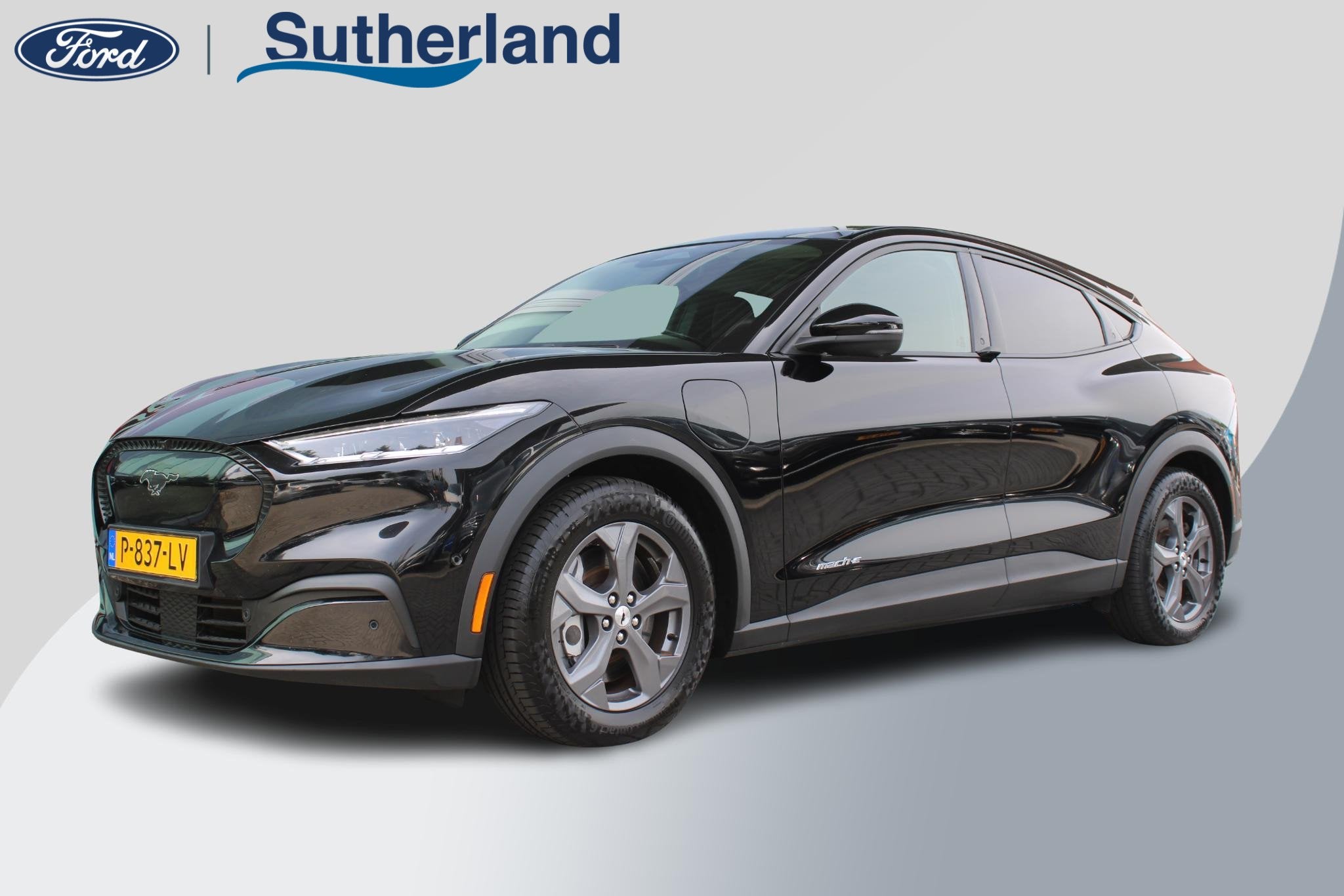 Ford Mustang Mach-E RWD 75 kWh | SOH 92,5% | B&O Audio | Tec, Automaat, Achterwielaandrijving, Gebruikt, Zwart