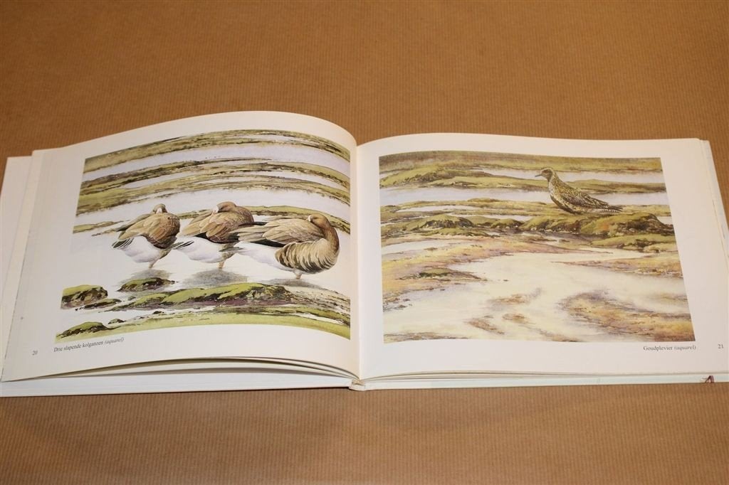Uilenpad — Impressies Zuid-Beveland — Erik van Ommen, Ophalen of Verzenden, Zo goed als nieuw