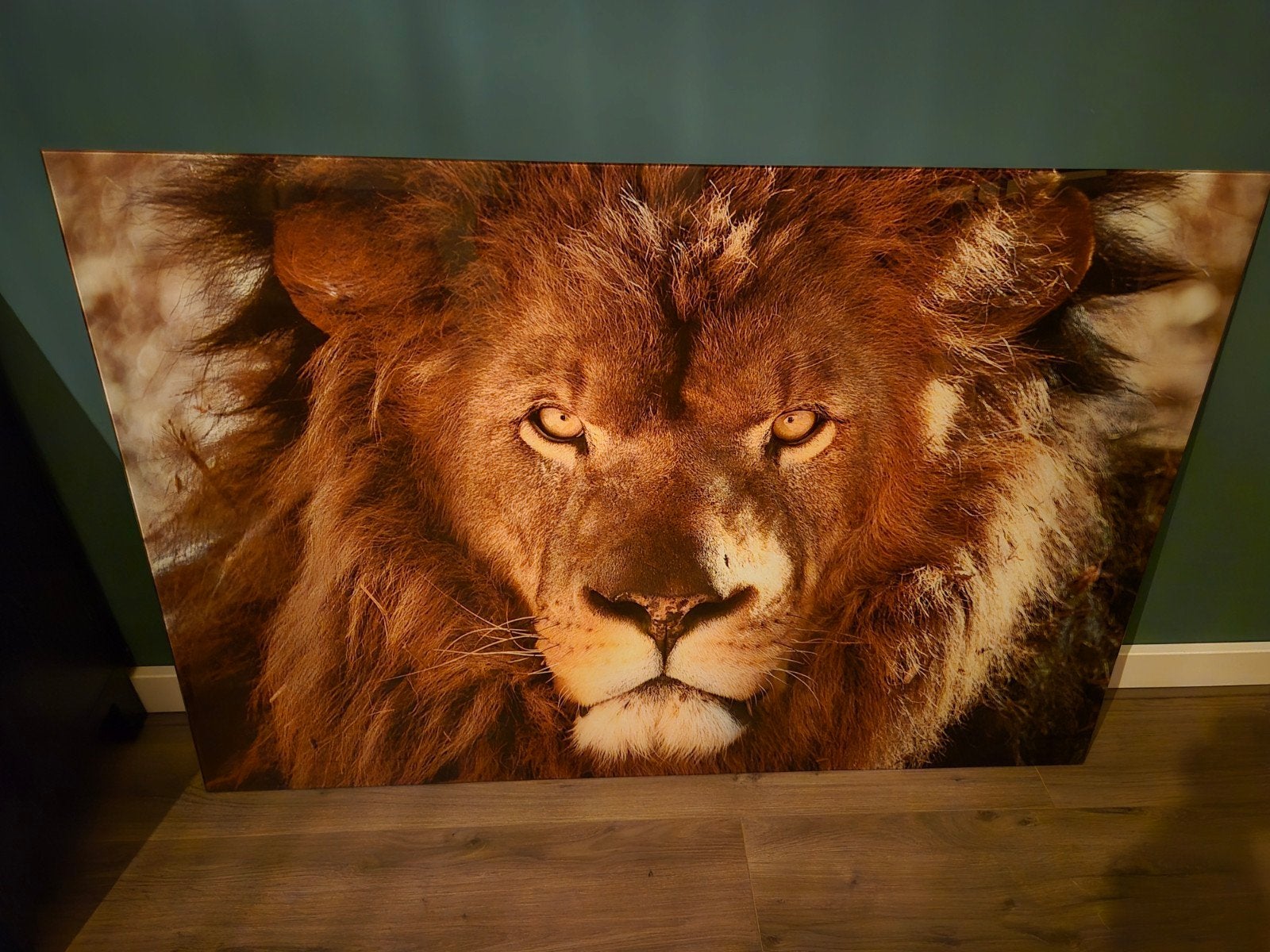 Wallfield Glas Leeuw - Indrukwekkende Wanddecoratie, 50 tot 75 cm, Ophalen of Verzenden, 75 tot 100 cm, Print