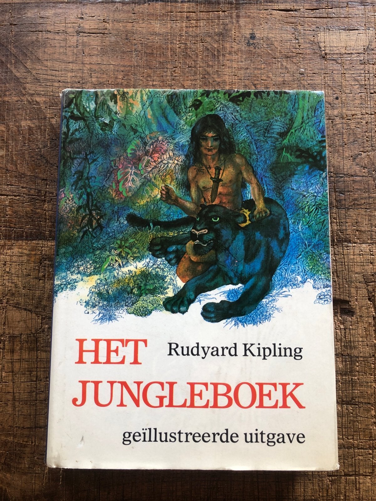 Het Jungleboek - Geïllustreerde Uitgave, Boeken, Kinderboeken | Jeugd | onder 10 jaar, Ophalen of Verzenden, Gelezen, Fictie algemeen